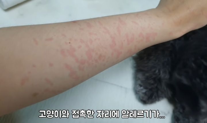 도랑에 빠진 새끼고양이를 구하고 냥택 된 유투버 | 인스티즈