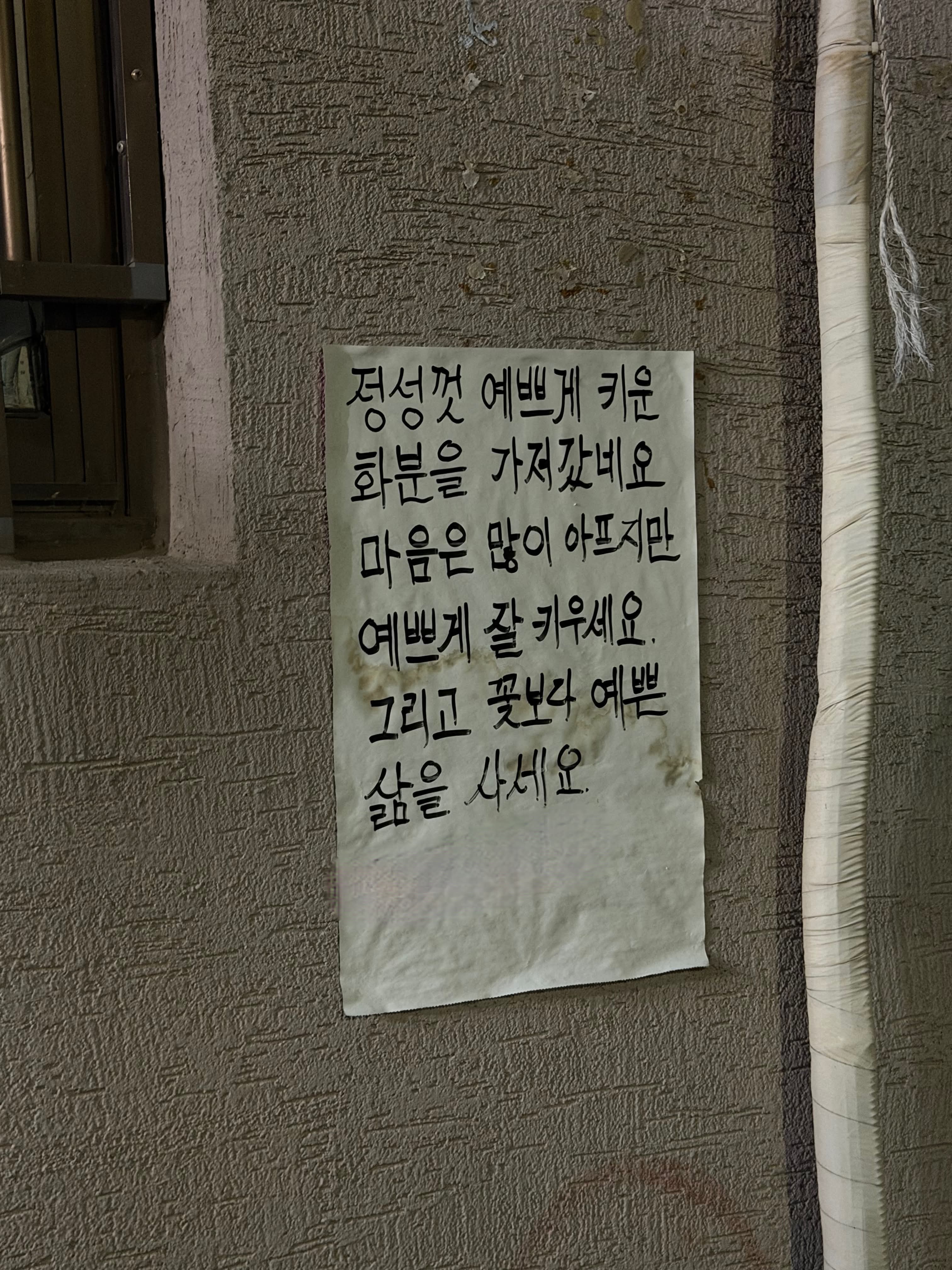 꽃보다 예쁜 삶을 사세요 | 인스티즈
