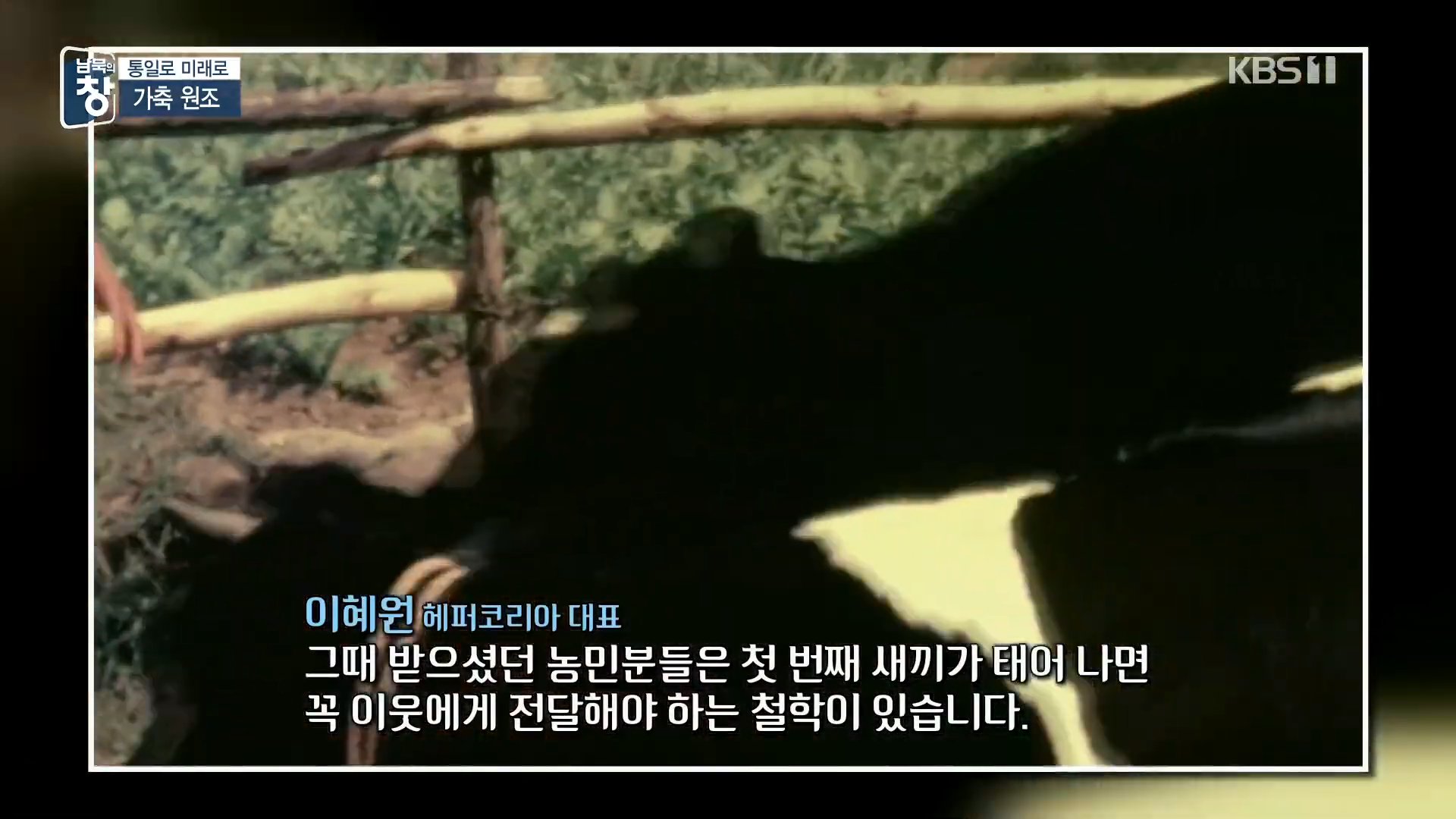 대한민국에 24년간 가축과 꿀벌을 공짜로 퍼준 미국 | 인스티즈