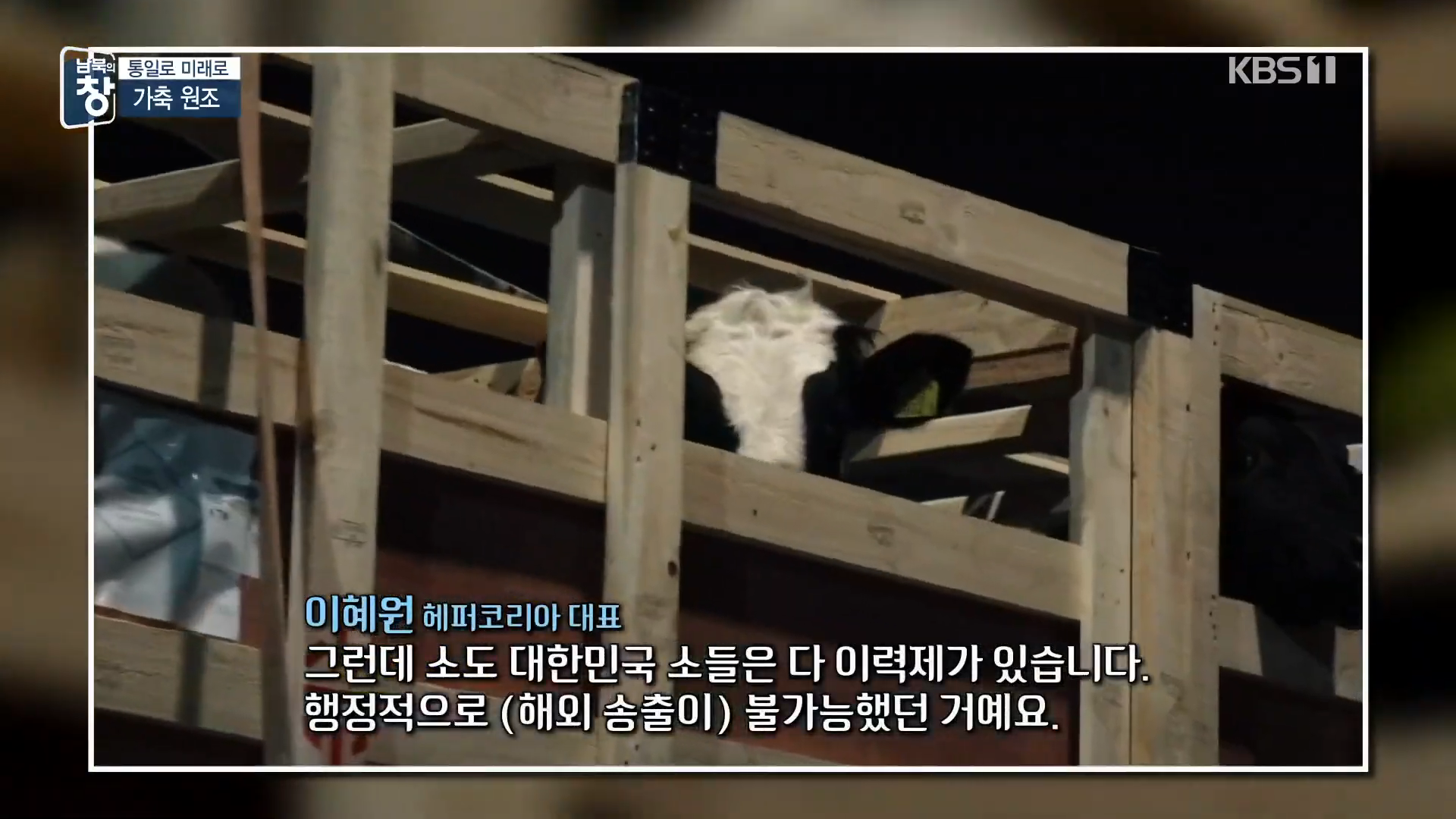 대한민국에 24년간 가축과 꿀벌을 공짜로 퍼준 미국 | 인스티즈
