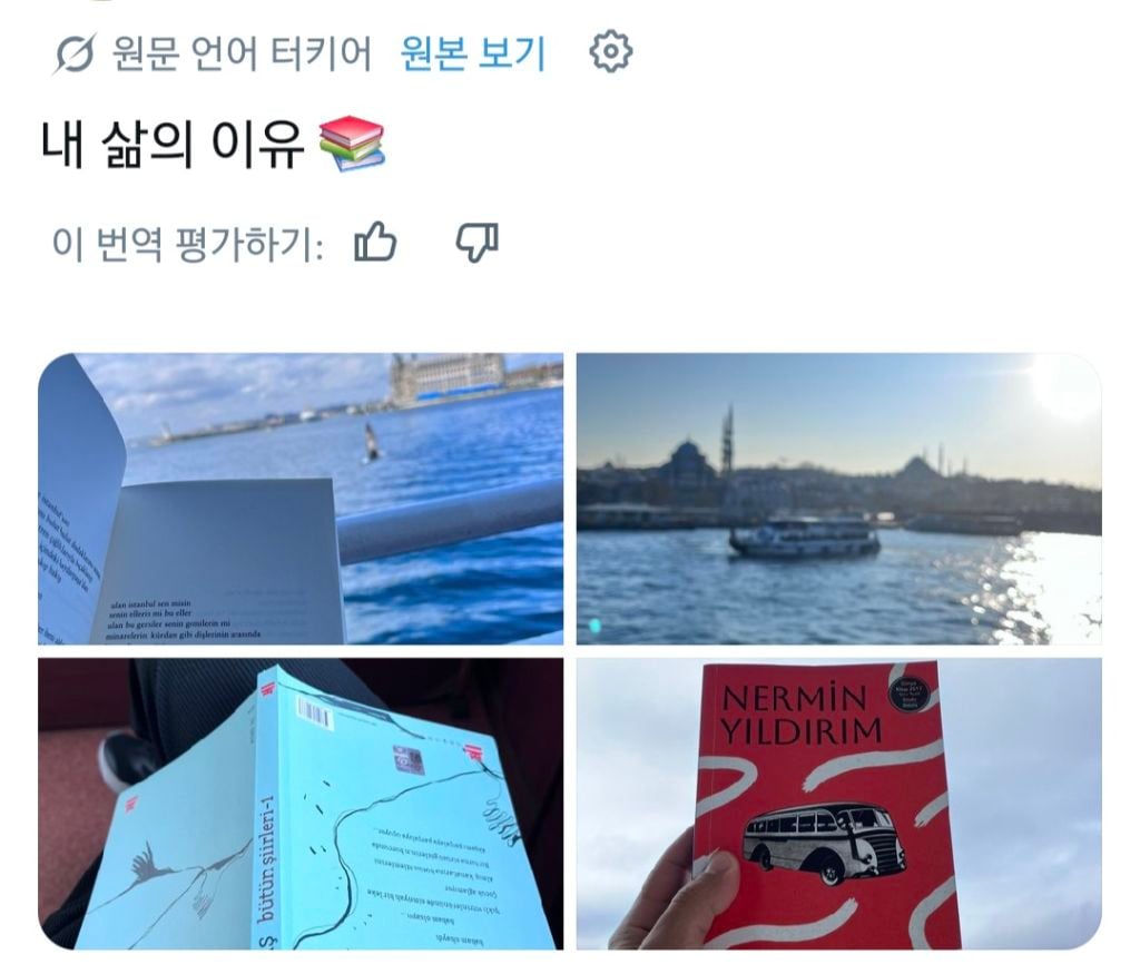 혼자 커피 마시고, 책 읽고, 산책하고, 외출하는게 좋은 사람들.jpg | 인스티즈