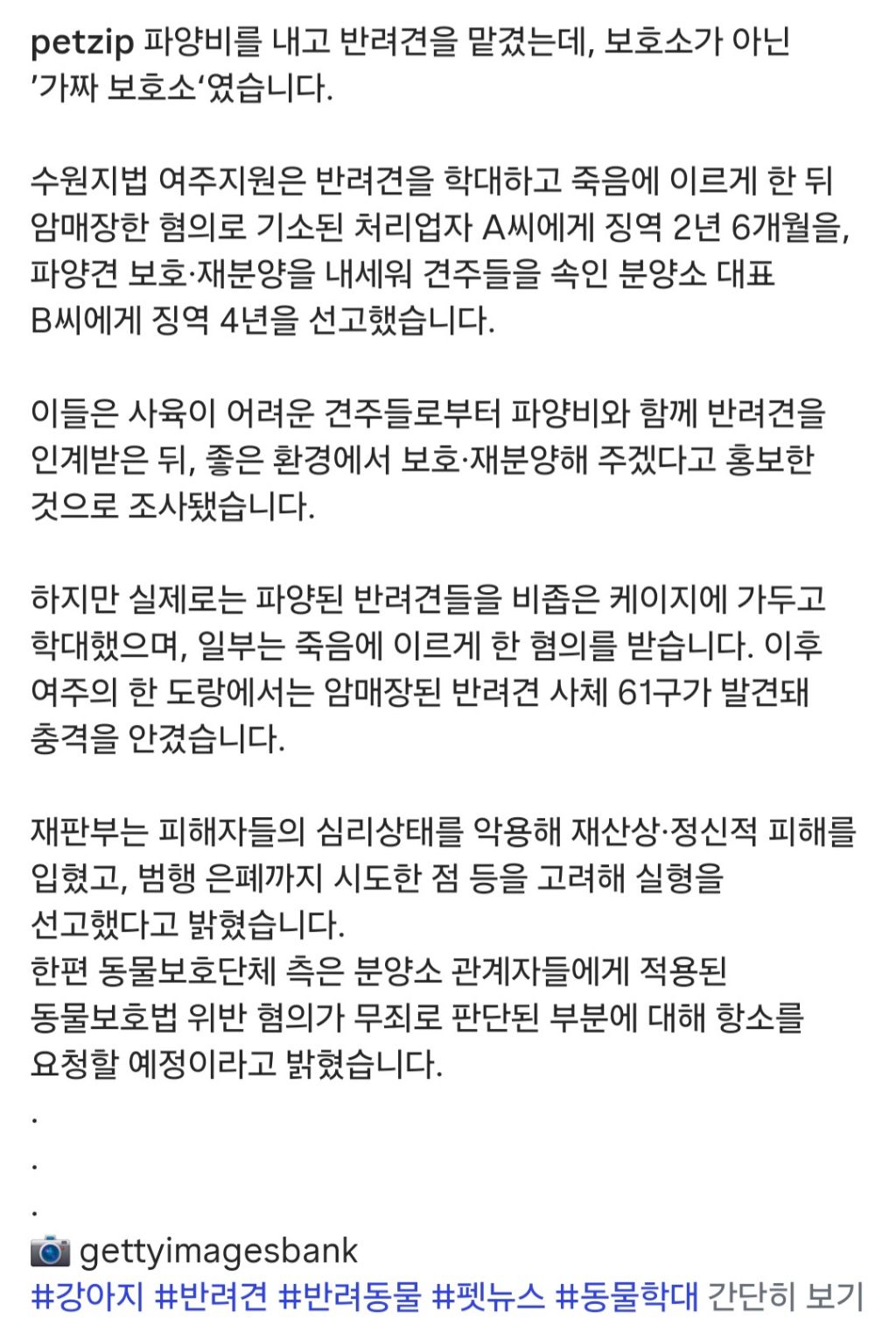 파양비 받고 반려견 학대한 가짜보호소 실형 선고 | 인스티즈
