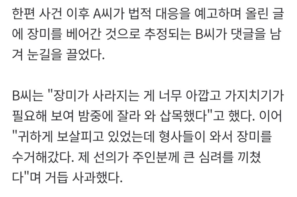 "젊은 부부가 야밤에 '싹둑'"…수년 정성 쏟은 '장미 핫플' 털렸다 | 인스티즈