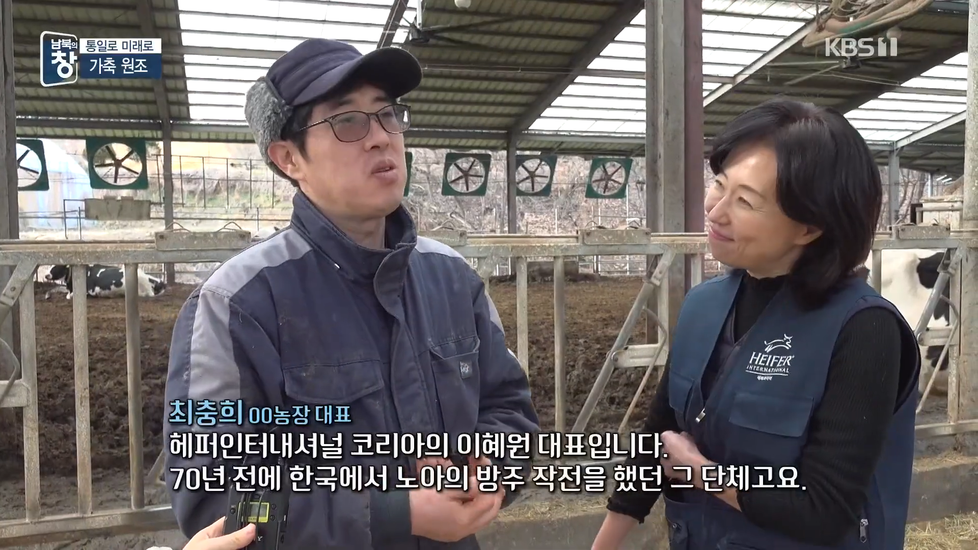 대한민국에 24년간 가축과 꿀벌을 공짜로 퍼준 미국 | 인스티즈
