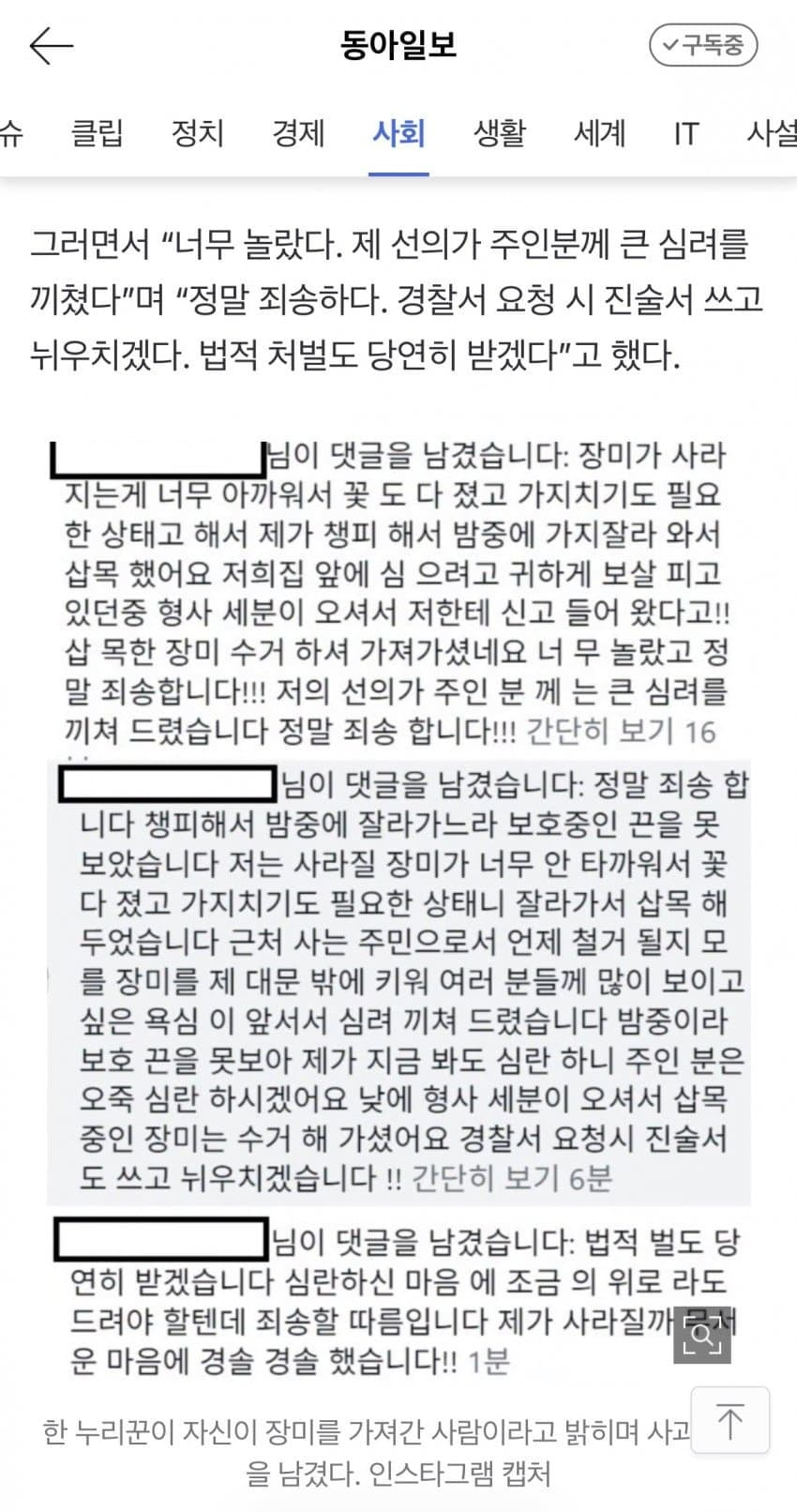 수원 행궁동 장미 사건 근황 | 인스티즈