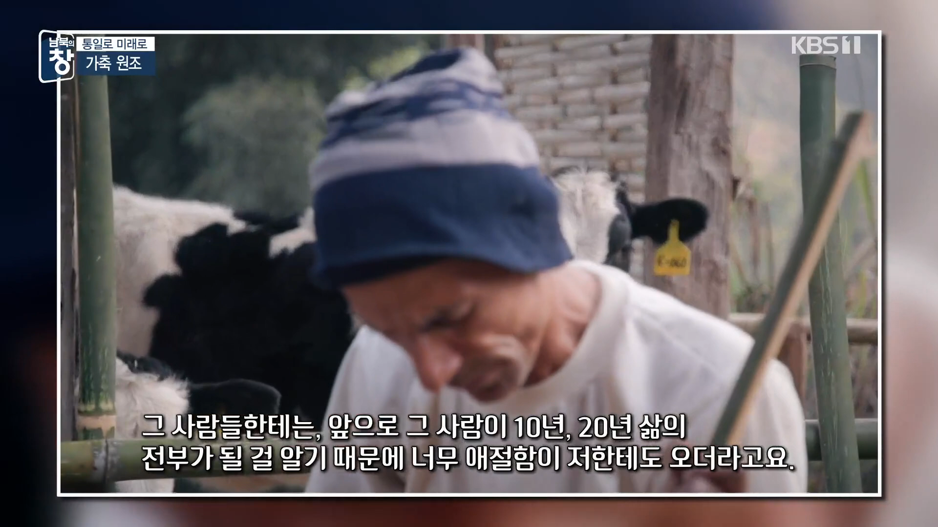 대한민국에 24년간 가축과 꿀벌을 공짜로 퍼준 미국 | 인스티즈