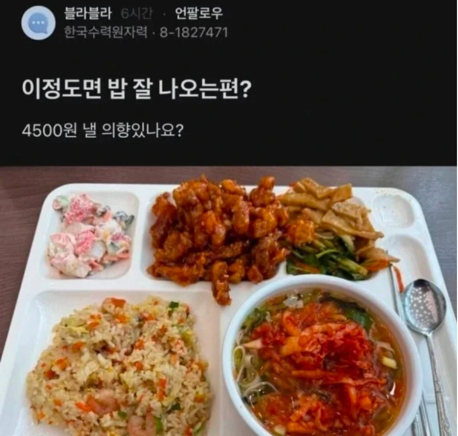 한국 수력 원자력 4500원짜리 점심 .jpg | 인스티즈