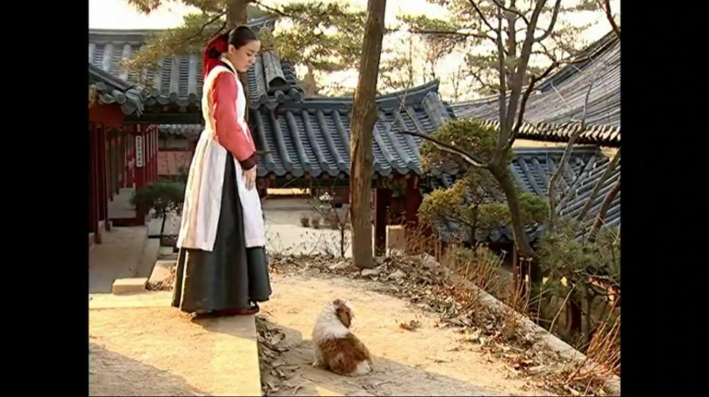 드라마 대장금에 나온 시츄 | 인스티즈