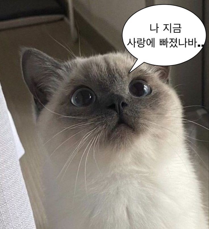 사랑은 갑작스럽게 다가와 사랑하지 않겠다 다짐한 내 마음을 부수고, 기어코 내 안에서 폭죽을 터뜨린다 | 인스티즈