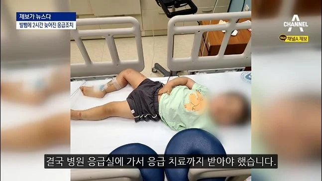 알러지 있다고 밝히는 사람들이 겪는 짜증나는 상황들 | 인스티즈