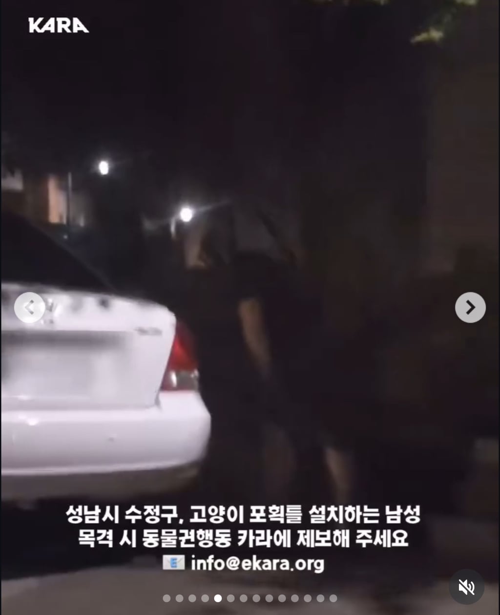 성남시 수정구, 야밤에 고양이 불법포획하는 남자 제보받고 있음 | 인스티즈