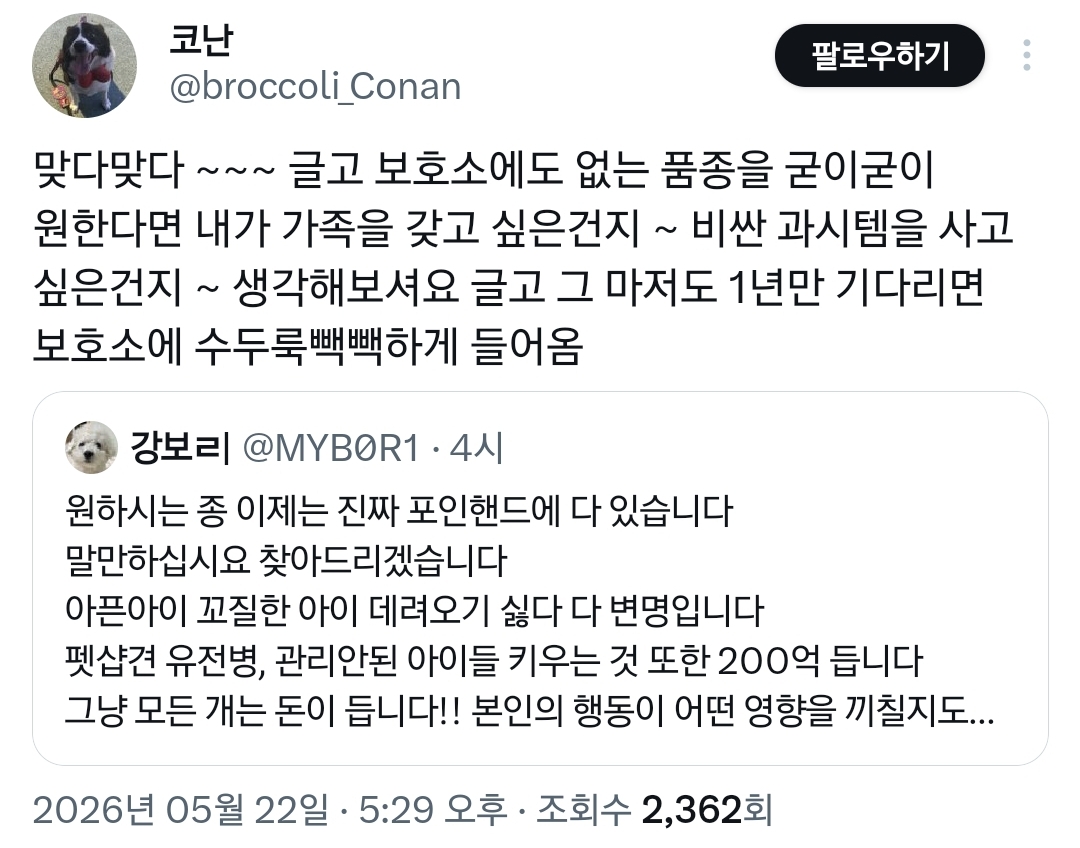 님들이 원하는 강아지 품종 이제 포인핸드에도 다 있음.twt | 인스티즈