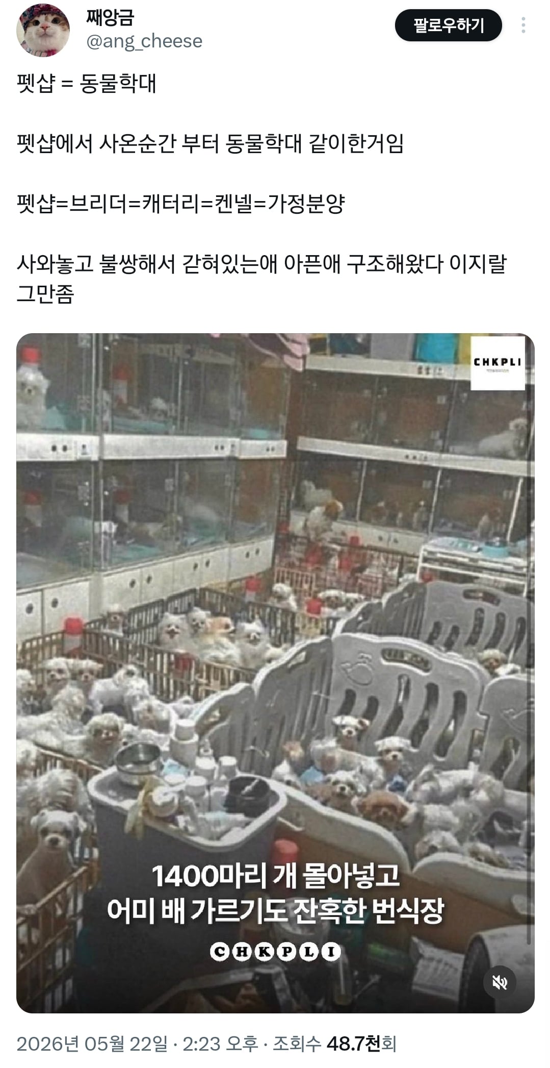 님들이 원하는 강아지 품종 이제 포인핸드에도 다 있음.twt | 인스티즈