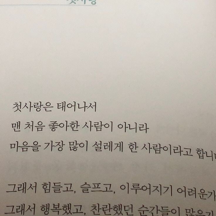 사랑은 갑작스럽게 다가와 사랑하지 않겠다 다짐한 내 마음을 부수고, 기어코 내 안에서 폭죽을 터뜨린다 | 인스티즈