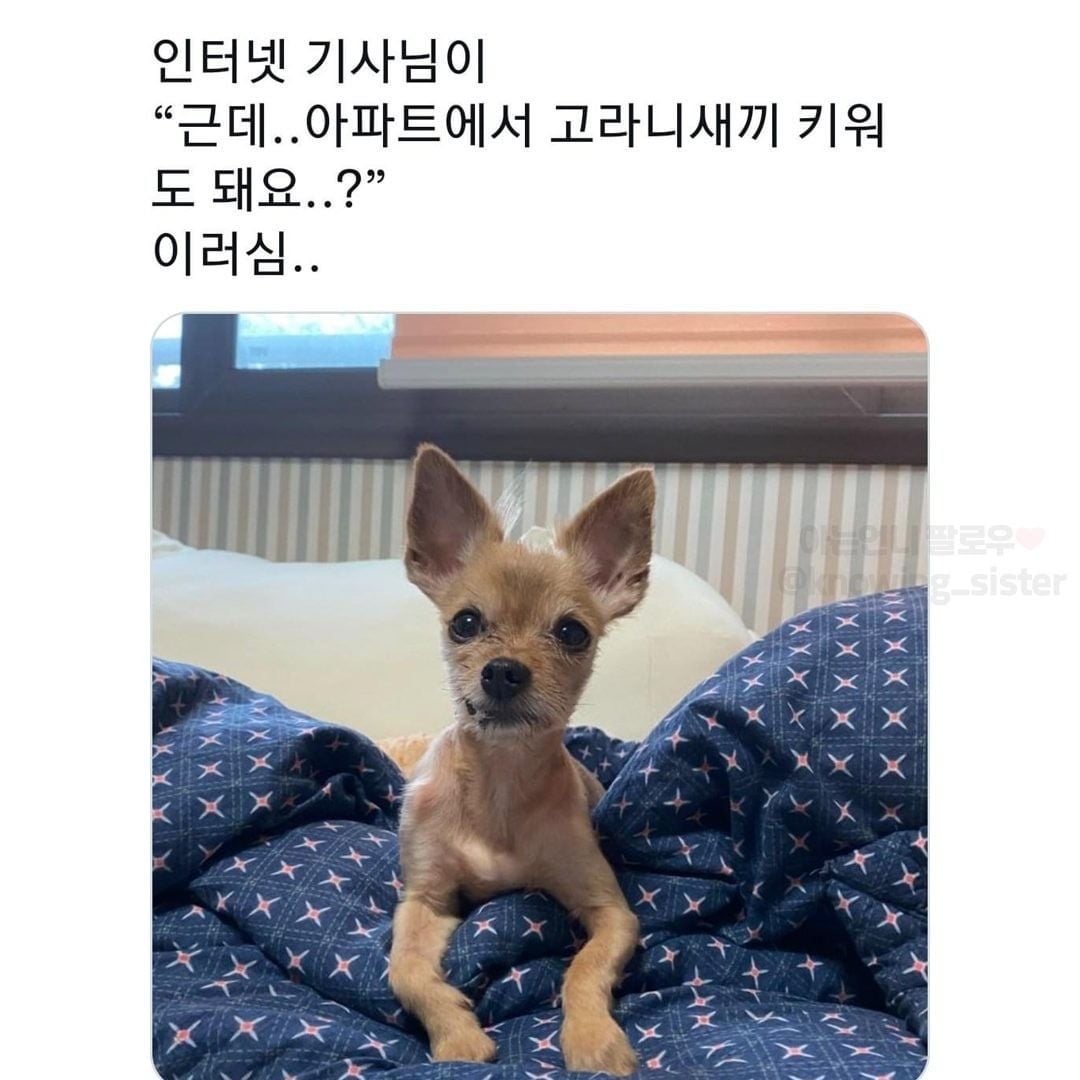동물보고 눈에 보이는대로 부르는 어른들 | 인스티즈