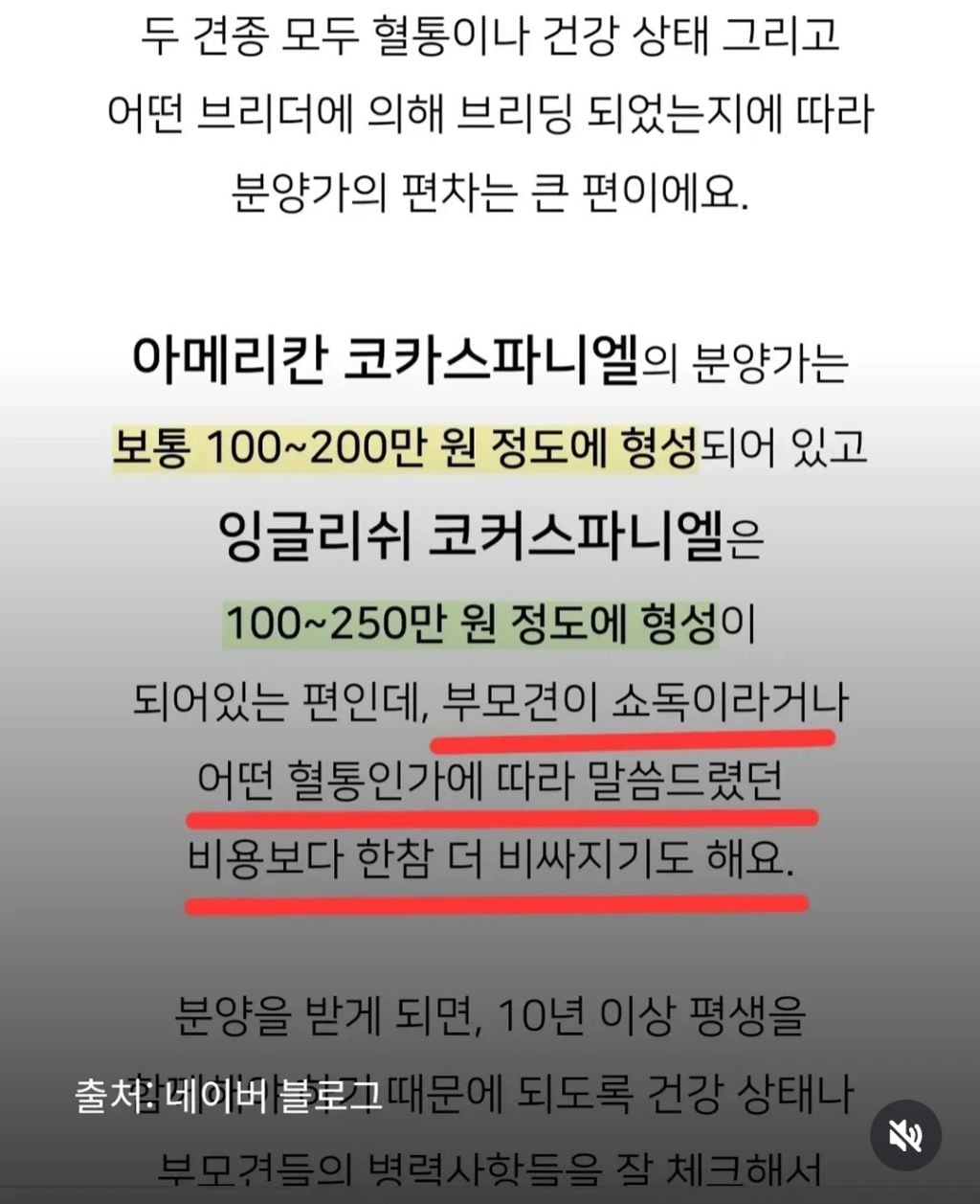 쇼독 챔피언 혈통견,브리더,켄넬 의 실체 | 인스티즈