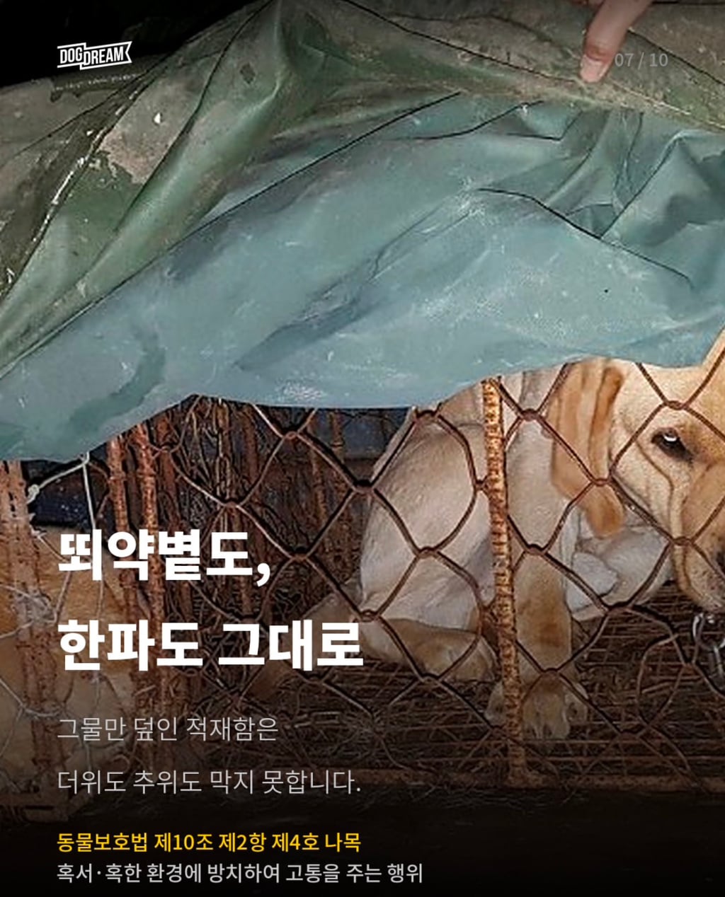 개장수 트럭 신고방법 | 인스티즈