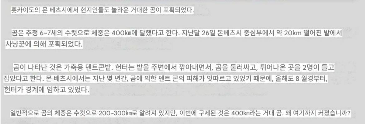 일본에서 잡힌 400kg 왕곰 | 인스티즈