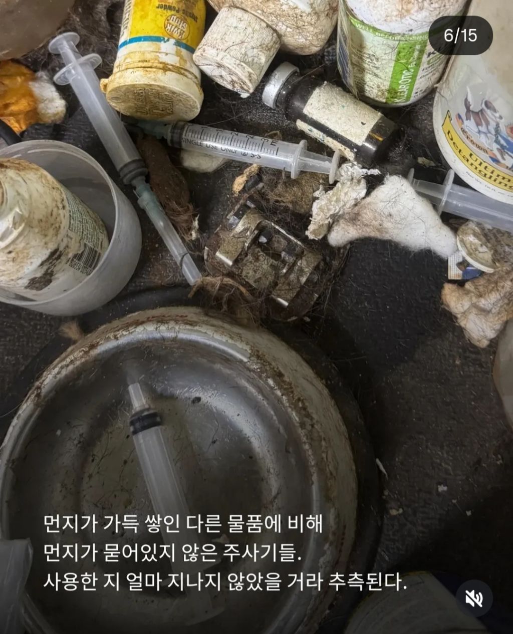 쇼독 챔피언 혈통견,브리더,켄넬 의 실체 | 인스티즈