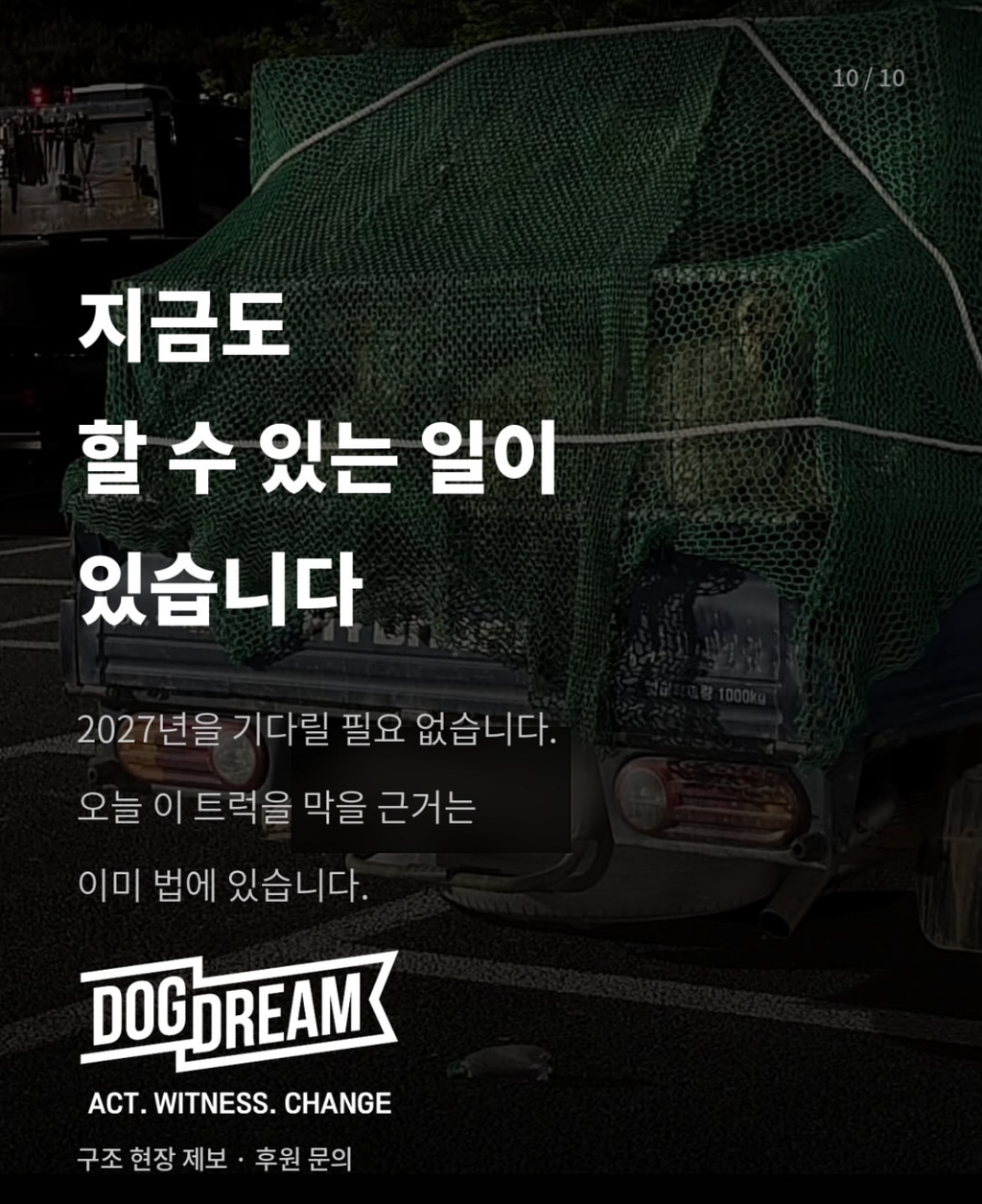 개장수 트럭 신고방법 | 인스티즈