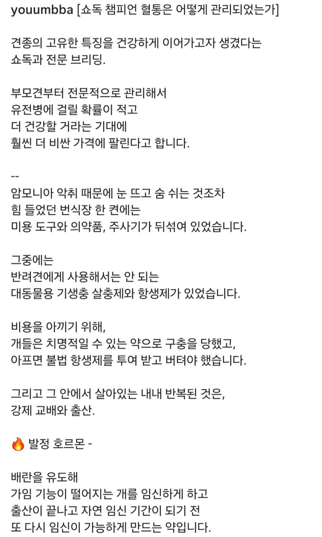쇼독 챔피언 혈통견,브리더,켄넬 의 실체 | 인스티즈