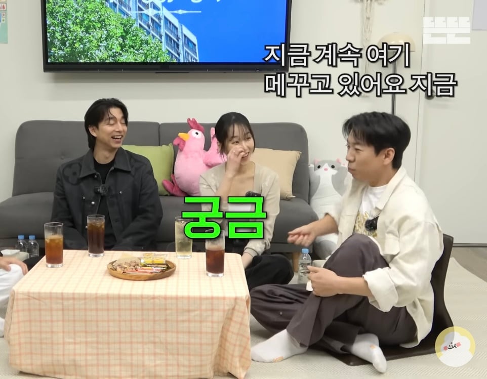 본인은 왜 핑계고의 작품홍보 전용 카페에서 촬영 안하는지 궁금했던 공유 | 인스티즈
