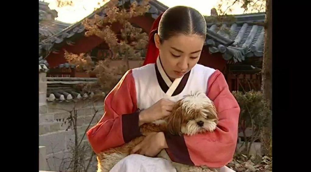 드라마 대장금에 나온 시츄 | 인스티즈
