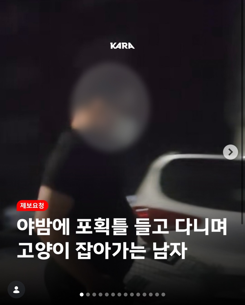 성남시 수정구, 야밤에 고양이 불법포획하는 남자 제보받고 있음 | 인스티즈