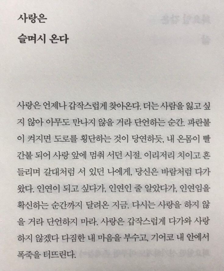 사랑은 갑작스럽게 다가와 사랑하지 않겠다 다짐한 내 마음을 부수고, 기어코 내 안에서 폭죽을 터뜨린다 | 인스티즈