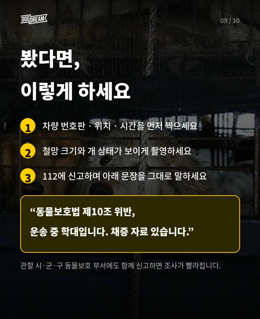 개장수 트럭 신고방법 | 인스티즈