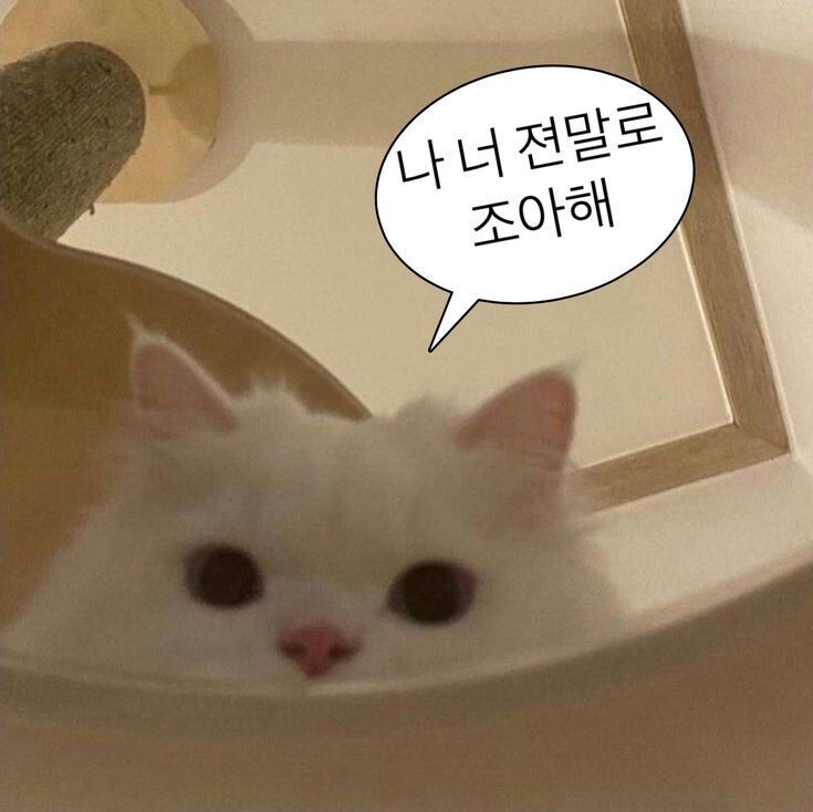 사랑은 갑작스럽게 다가와 사랑하지 않겠다 다짐한 내 마음을 부수고, 기어코 내 안에서 폭죽을 터뜨린다 | 인스티즈