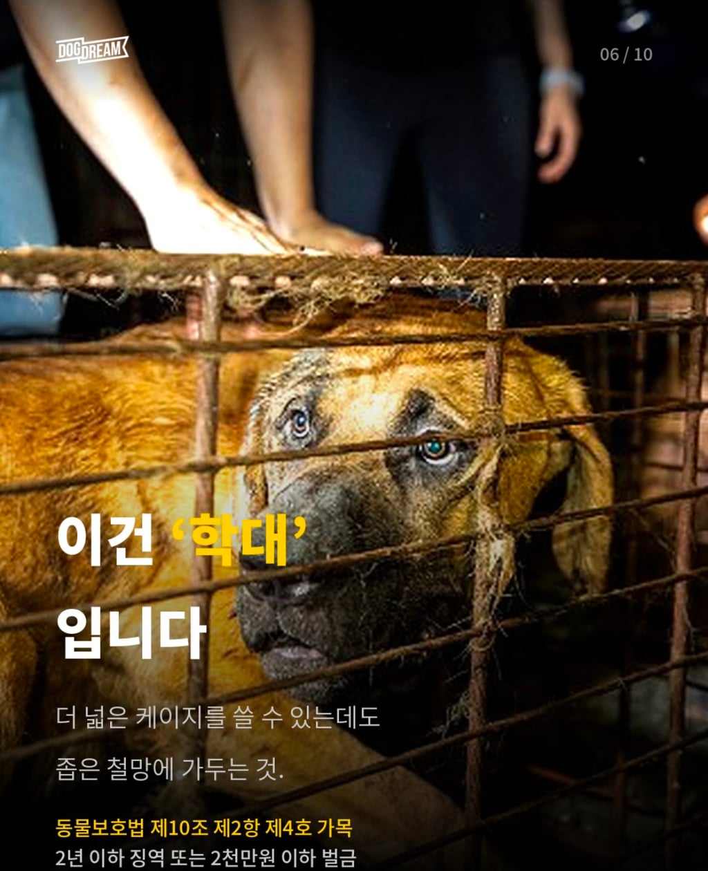 개장수 트럭 신고방법 | 인스티즈