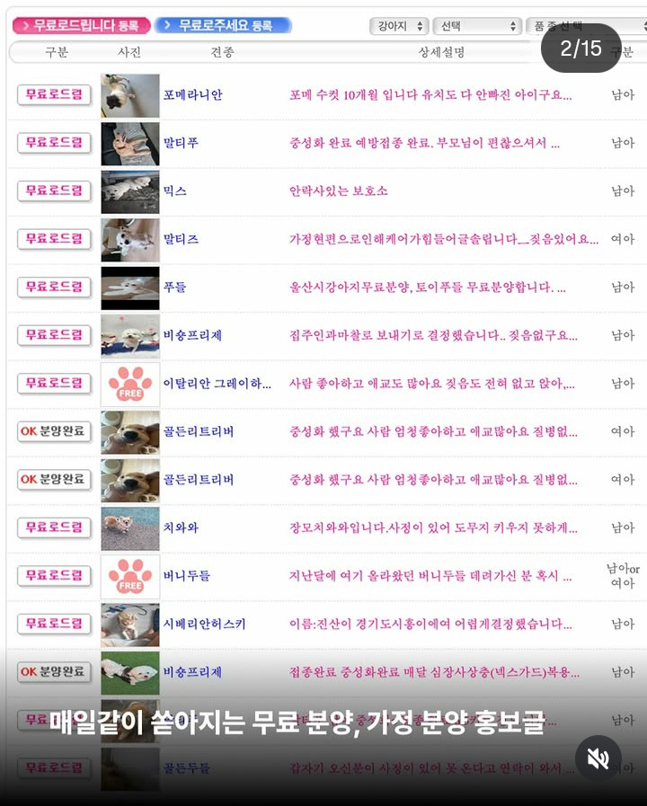 가정분양의 뒷모습, 어떠신가요? | 인스티즈