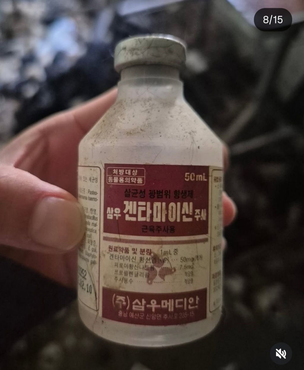 쇼독 챔피언 혈통견,브리더,켄넬 의 실체 | 인스티즈