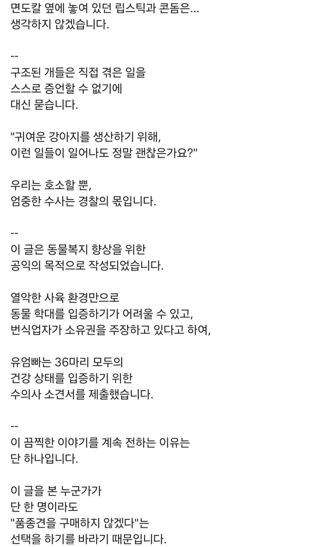 쇼독 챔피언 혈통견,브리더,켄넬 의 실체 | 인스티즈