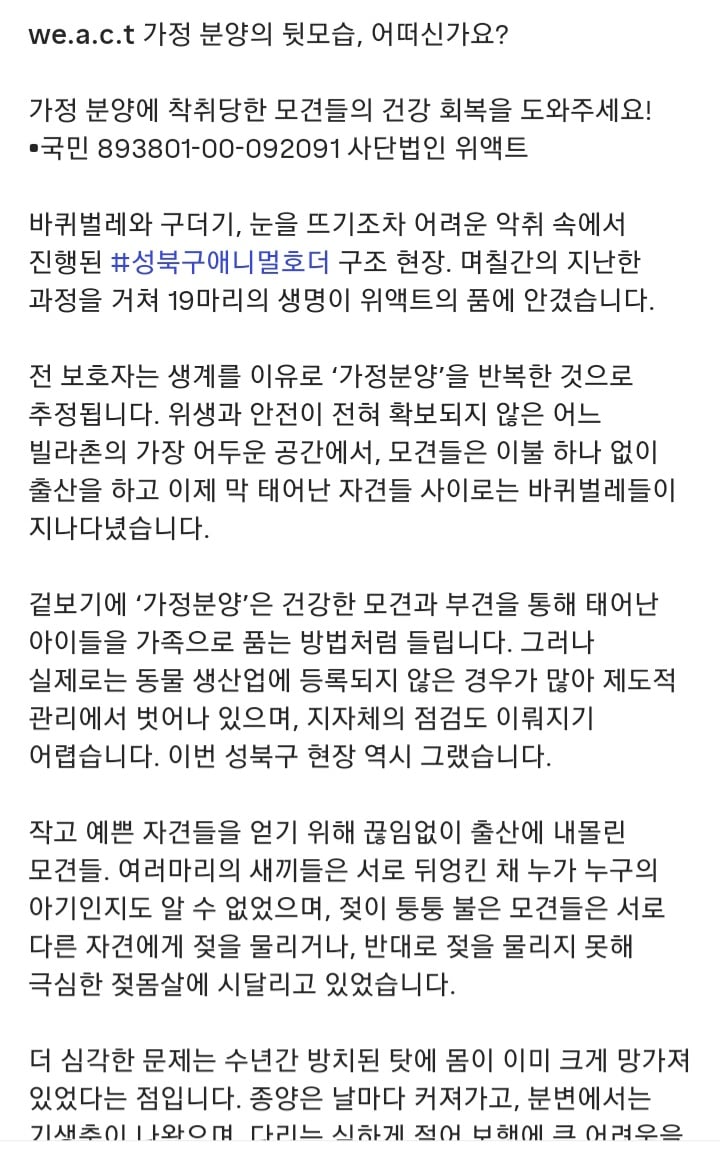 가정분양의 뒷모습, 어떠신가요? | 인스티즈