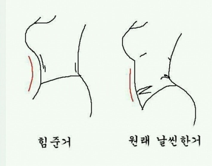 여자 배 구별법 | 인스티즈