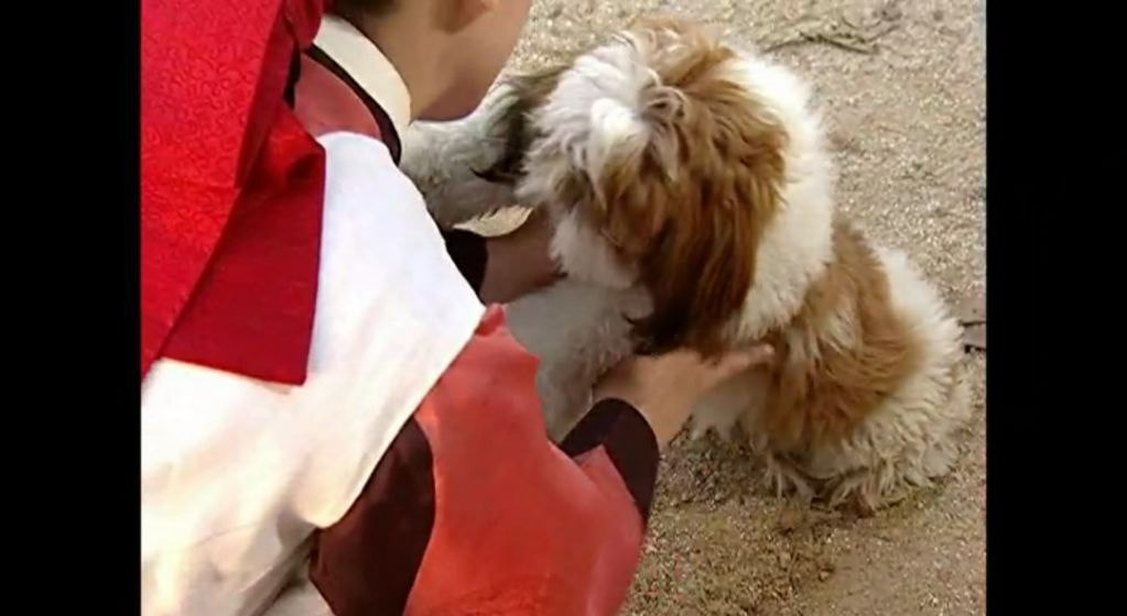 드라마 대장금에 나온 시츄 | 인스티즈