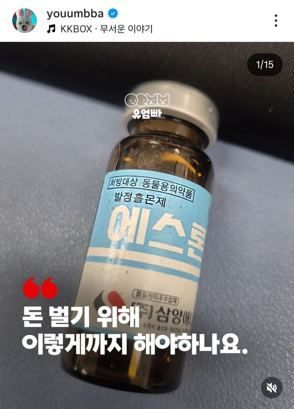 쇼독 챔피언 혈통견,브리더,켄넬 의 실체 | 인스티즈