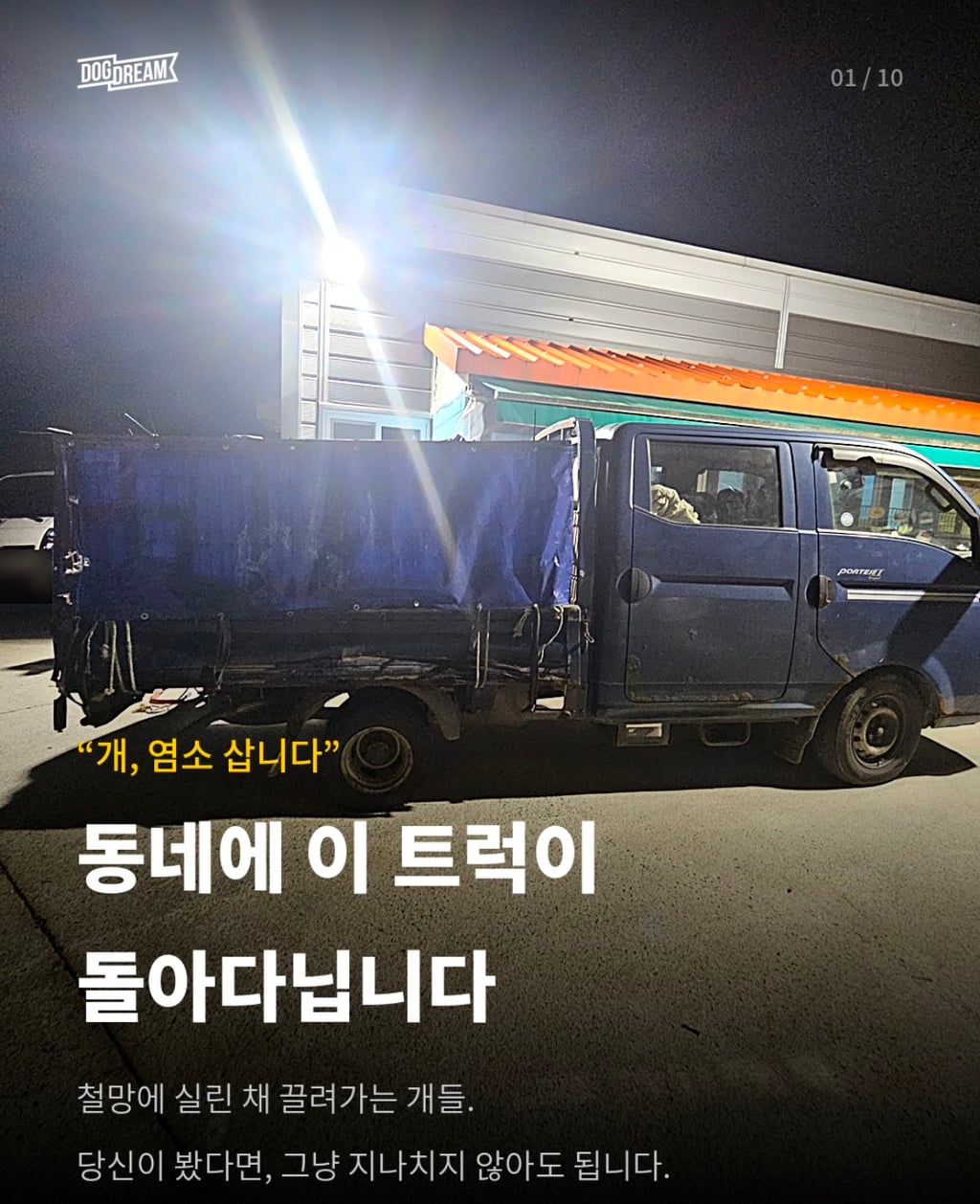 개장수 트럭 신고방법 | 인스티즈