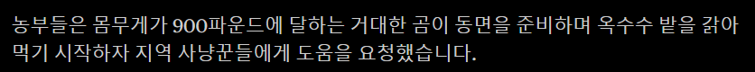 일본에서 잡힌 400kg 왕곰 | 인스티즈