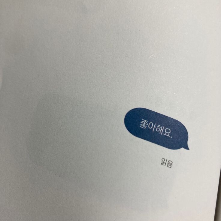 사랑은 갑작스럽게 다가와 사랑하지 않겠다 다짐한 내 마음을 부수고, 기어코 내 안에서 폭죽을 터뜨린다 | 인스티즈