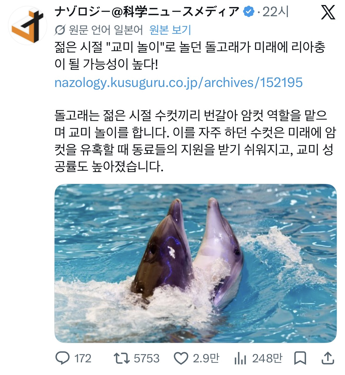 돌고래는 젊은 시절 수컷끼리 번갈아 암컷 역할을 맡으며 교미 놀이를 합니다 | 인스티즈