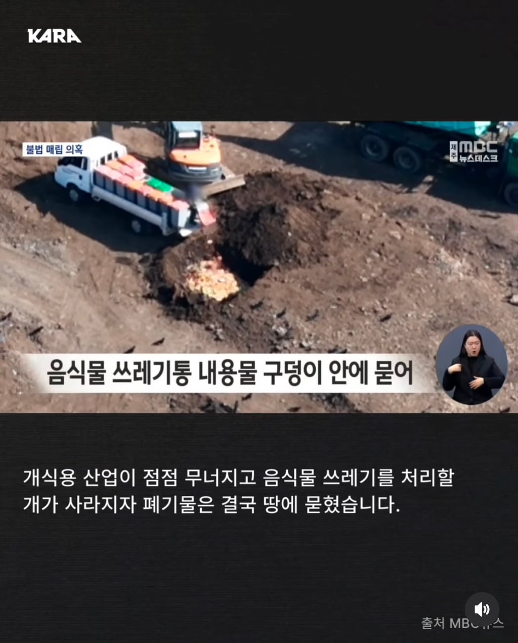 정부가 허락한 동물학대, 음식물 쓰레기 처리수단 ~ing | 인스티즈
