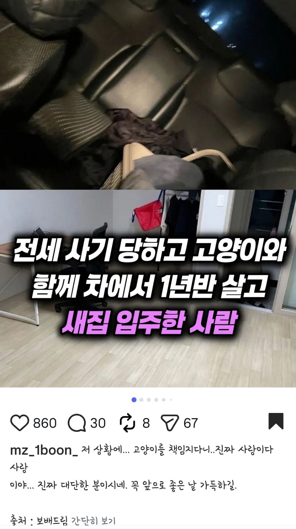 전세사기 당하고 고양이와 차에서 1년 반 버팀 | 인스티즈