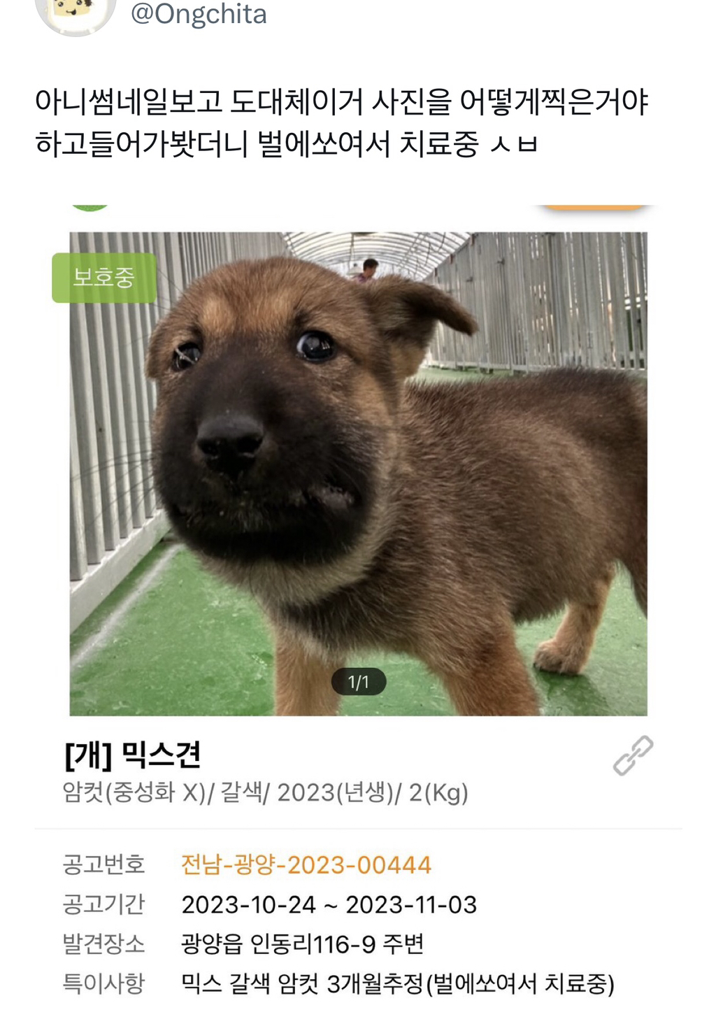 포인핸드 사진 이게 뭐야 | 인스티즈
