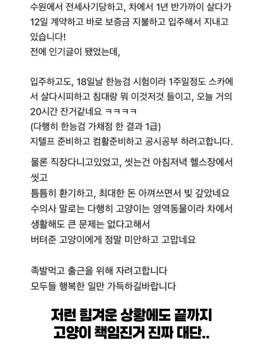 전세사기 당하고 고양이와 차에서 1년 반 버팀 | 인스티즈