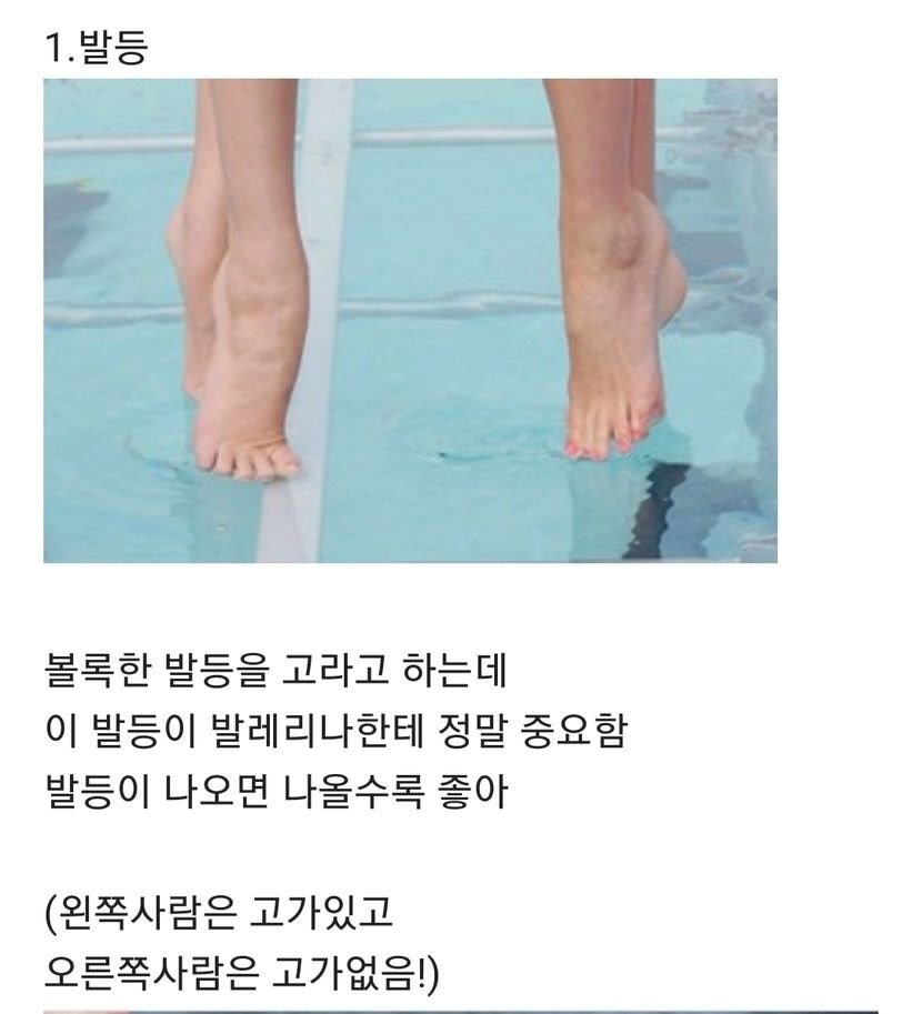 발레의 미적요소 중 하나라는 것.jpg | 인스티즈