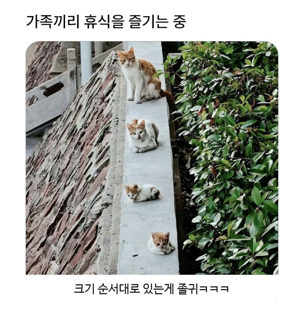 가족끼리 휴식을 즐기는 중 | 인스티즈