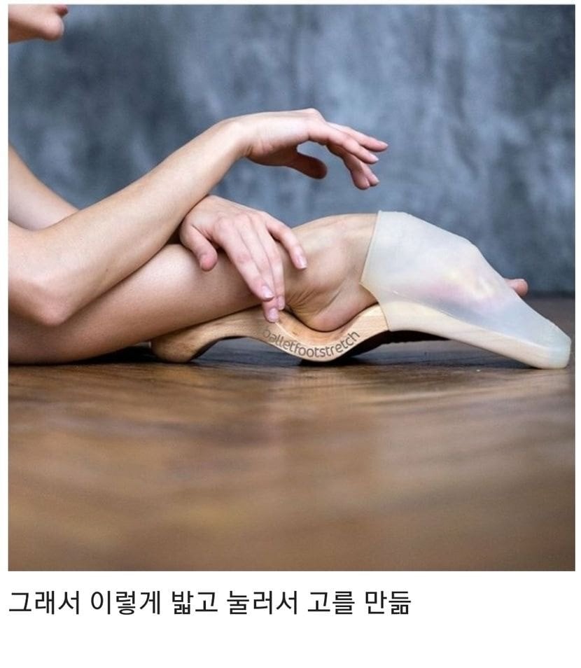 발레의 미적요소 중 하나라는 것.jpg | 인스티즈